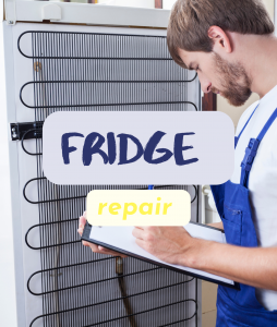 refrigerator repair service durban