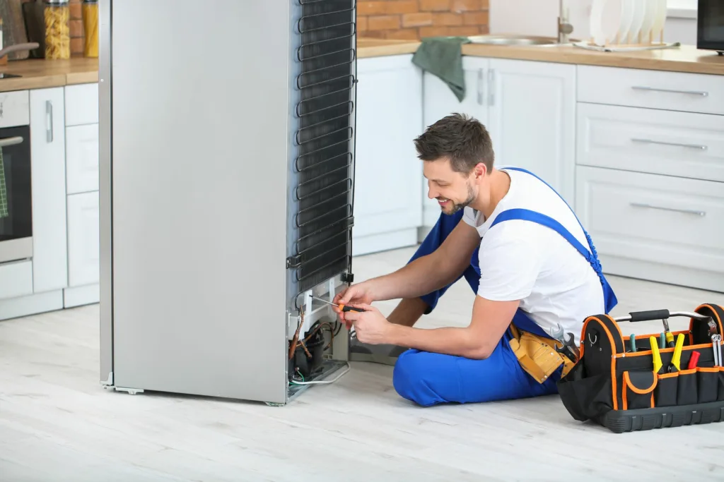 lg fridge repair in berea durban