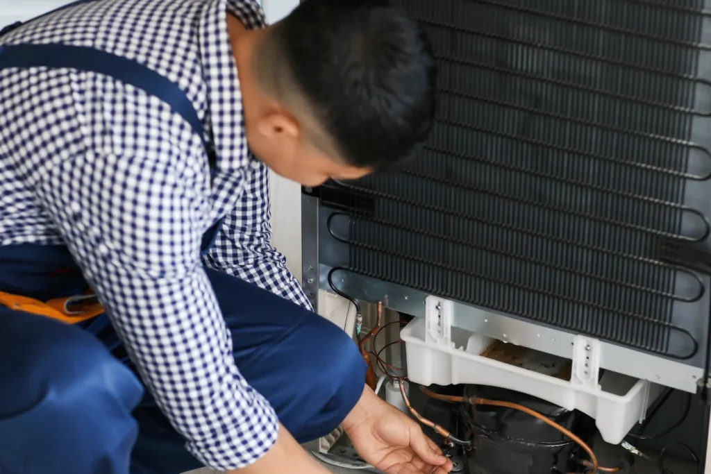 Bosch Appliance Repair Chatsworth - fridge repairs bosch