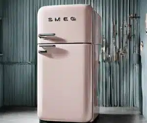 Smeg fridge spares in Durban