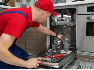 technicians repairs defy dishwasher in a westville home