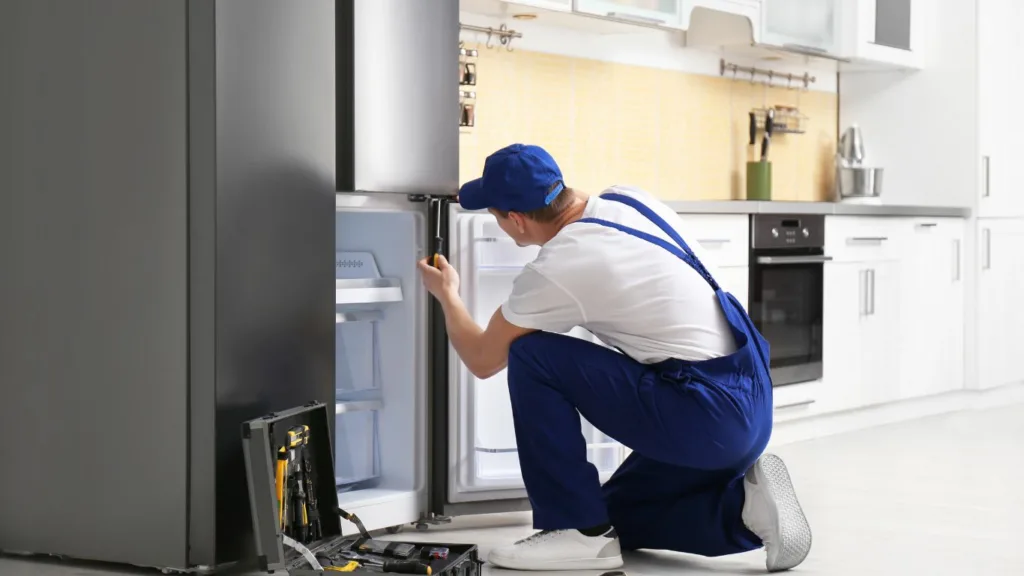 fridge fixer near me in bluff durban examining inside of appliance