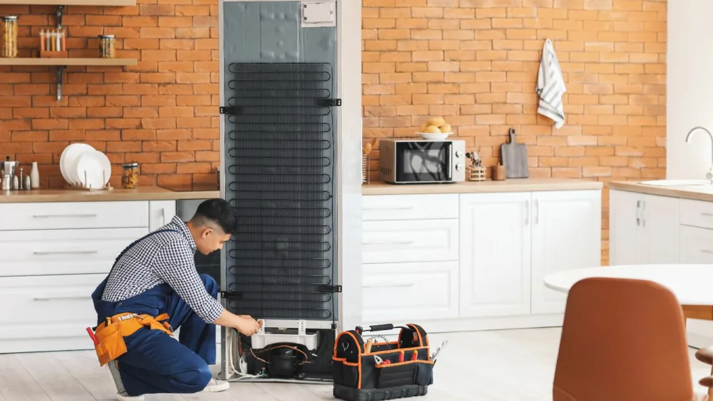 eco-friendly appliance care