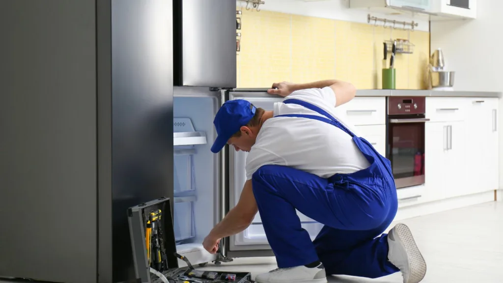 Expert repairs for AEG fridges in Umhlanga.