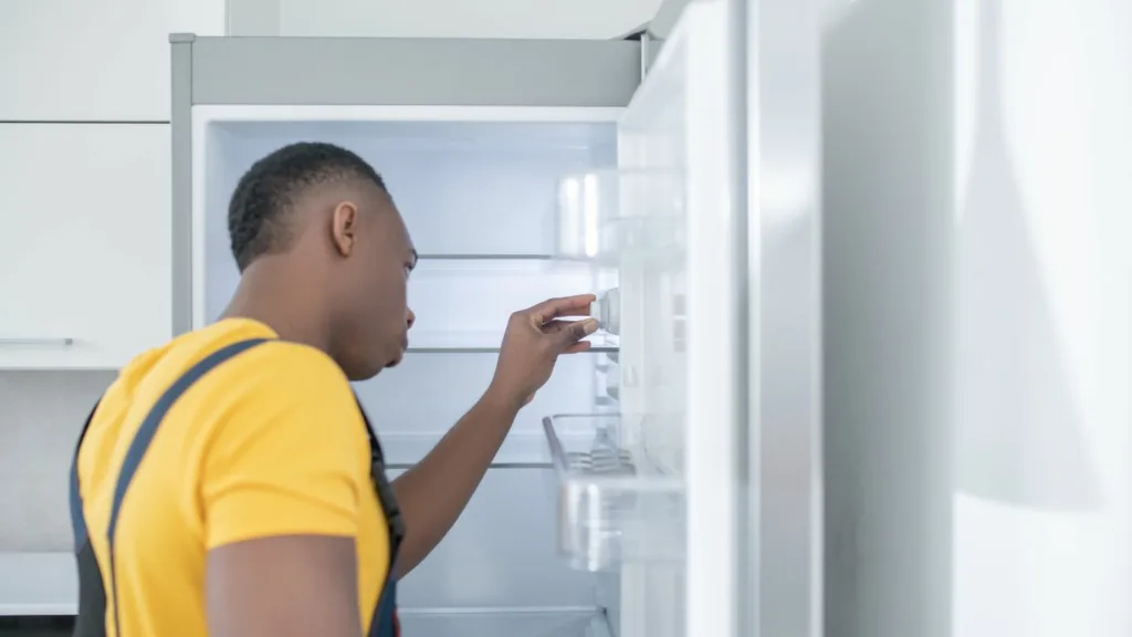 Professional AEG fridge repair services in Umhlanga.