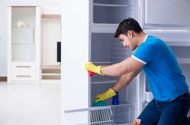 berea fridge repair fix appliance in Berea