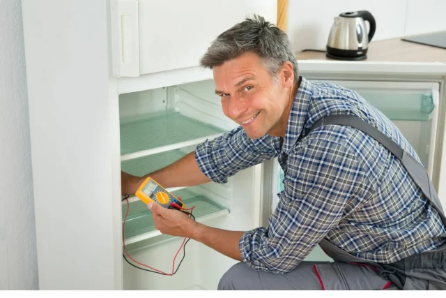 bosch refrigerator service centre - technician fixes bosch fridge in phoenix , durbsn