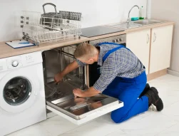 appliance repairs dolphin coast - dishwasher repairs