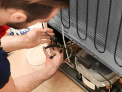 fridge technician near me in westville