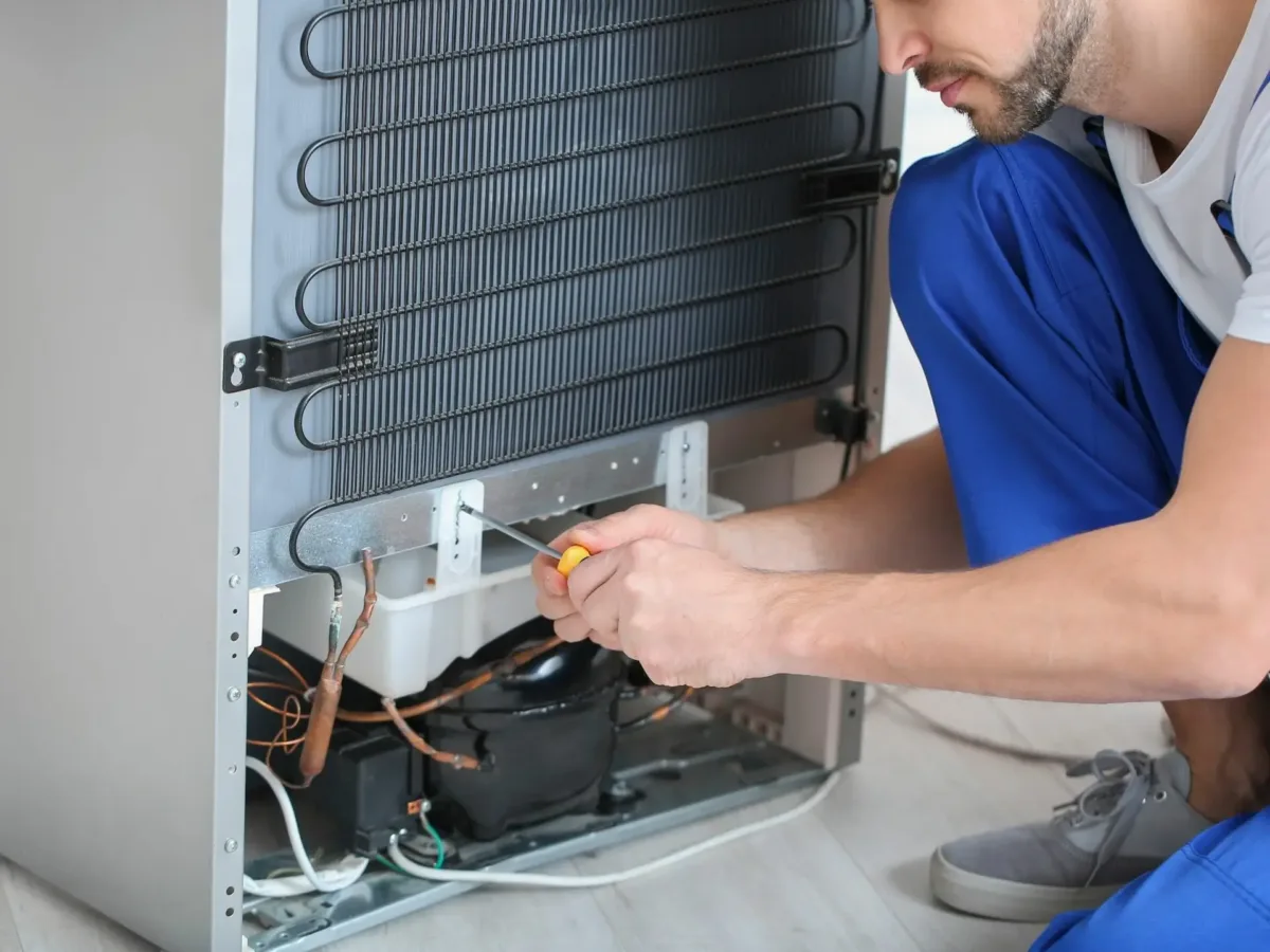 fridge repair in kingsburgh aeg service centre - call smart appliance centre
