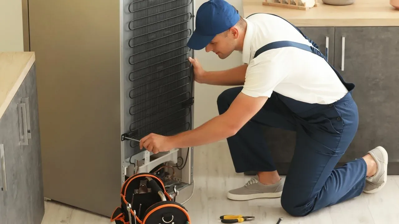 fridge repairs pinetown