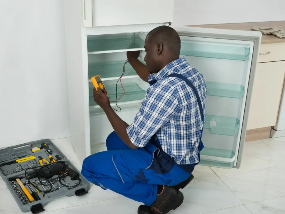 Amanzimtoti fridge repair technician