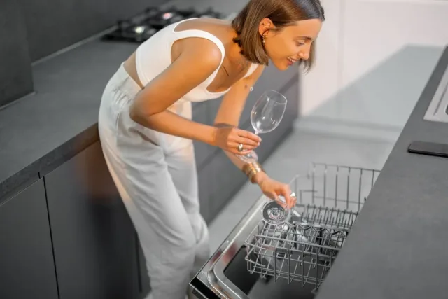Dishwasher repair Westville: noisy dishwasher
