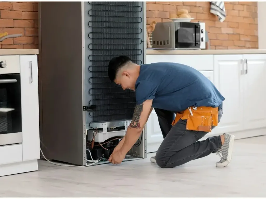 refrig repair near me fridge repair near me in la Lucia - call the smart appliance centre