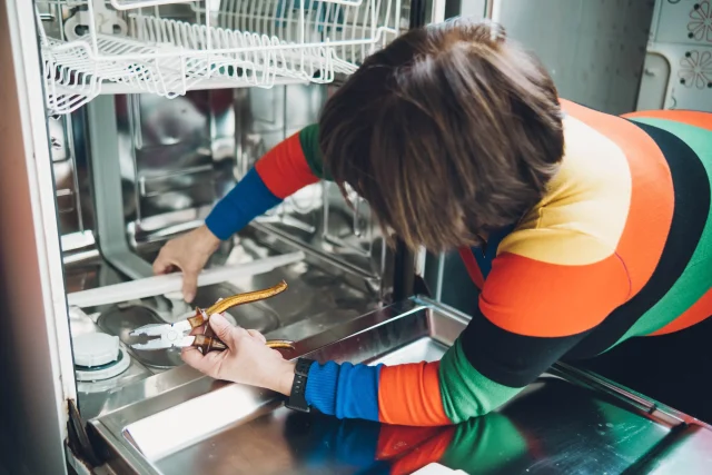 smeg dishwasher repair centre